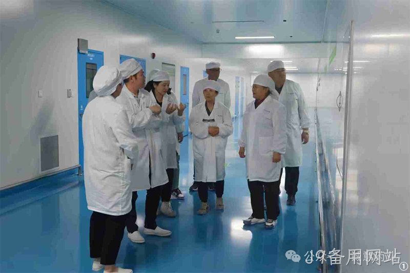 J9备用网站 (1) J9备用网站 (1)